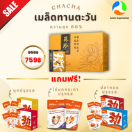 ChaCha+Jins เมล็ดทานตะวัน 1 กล่อง แถม ของทานเล่นพร้อมทาน 1 กล่อง (ชุดของขวัญ)