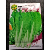 Baby bok choy seeds (RS2484)