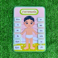 สื่อการสอนร่างกายของฉัน my body อวัยวะภายในร่างกาย เรียนรู้คำศัพท์ภาษาอังกฤษ สื่อการสอนทำมือ ขนาดเต็