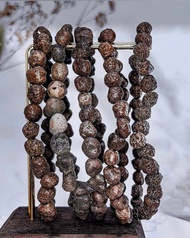 【黑靈骨跳出舍利】龍宮舍利手串/黑靈骨舍利手鍊