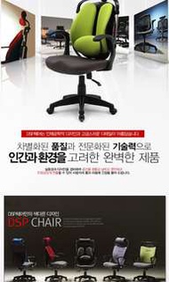 全新韓國NEW EURO人體工學雙背椅