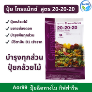ปุ๋ย โกรแม็กซ์ สูตร 20-20-20 กิฟฟารีน ปุ๋ยน้ำทางใบ ปุ๋ยยูเรีย ปุ๋ยกล้วยไม้ giffarine Fertilizer for 