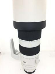 Sony 200-600mm G OSS (E-Mount)