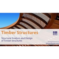 Dlubal RX-TIMBER 2.19.01 (x64) Multilingual