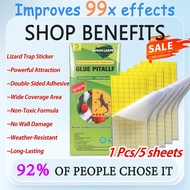 Lizard trap OD Lizard Sticky Trap / Lizard Killer Lizard trap glue Strong Adhesive Traps Gecko trap 