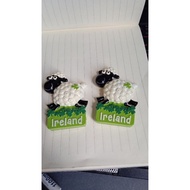 ireland Fridge Magnet