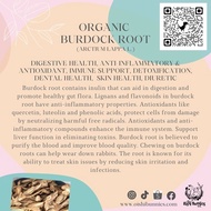 [SG] Premium Organic Herbs - Burdock Root Tea Munchies Hay Topper (25gms)