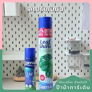 Product Name: Oil Leaf Spray 250ml/750ml-Shine