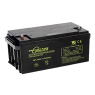 NEUTON POWER NPL1265 12V 65AH M6 REPLACEMENT BATTERY