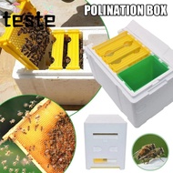 Beekeeper Garden Pollination Box, Waterproof Beekeeping Equipment Queen Bee Breeding Box, Foam Bee H