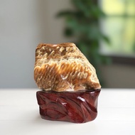 Rattan Agate Stone MN21 C17 x N15 - 1.6kg
