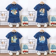 Bluey Denim/ Kids Suit Stone Wash Kids Suit Boys & Girls Clothes