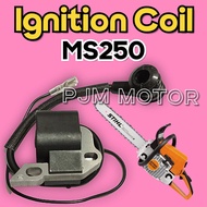 Ms250 Cdi Coil Koil Mesin chainsaw senso sinso sthil stihl Ms 250