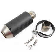 Universal 49cc scooter exhaust Stainless Steel Carbon Fiber Muffler dirt bike silencer Pipe lifan 25