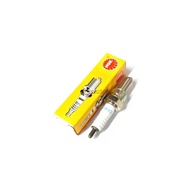 Genuine CR8E Spark Plug 10 Mm.
