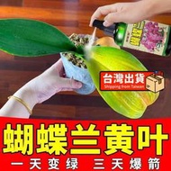【樂樂屋】【花肥】蝴蝶蘭營養液 促花催劍拯救黃葉跟腐蝴蝶蘭花苗肥料 營養液 免稀釋
