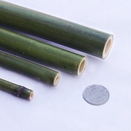 Gậy Tre Cần Trúc Tạo Cảnh Quan Đạo Cụ Tre Đám Cưới Màu Xanh Lá Cây Rỗng Ruột Ống Trúc To Nhỏ Sáng Tạ