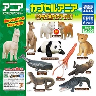 TAKARA TOMY Genuine Gashapon Toys Animals Kangaroo Dogs Leopard Panda Squid Crocodile Action Figure 