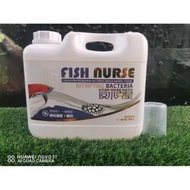 {Free Shipping} 5L Fish Nurse Yogurt Bacteria (Biru)(726)