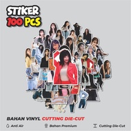 50 pcs Jung Eunji Stickers (APINK) Creative Cute Decoration for Notebook, Skateboard, hp