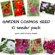 GARDEN COSMOS SEED ( 10 seeds ) benih pokok bunga cosmos @ ala bunga ulam raja