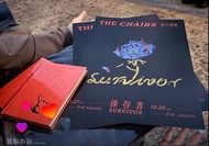 椅子樂團the chairs倖存者海報