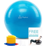 PHYLLEXI Exercise Ball - Pro Grade Anti-Burst Gym Yoga Birthing Ball (75cm), Extra Thick Pilates Fitness Swiss Ball with