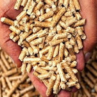 1Kg Compressed Pine Wood for Hamster, Hedgehog, Guinea Pig, Rabbit, Squirrel... (8 cups) Hamster Bed