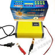 Youxin Car Battery Charger 12V Volt Motorcycle Car Battery Intelligent Pulse Repair Charger 12V6A