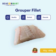 Beacon Mart Fresh Frozen Grouper Fillet | Wild Caught Sabah | Ikan Kerapu Segar 石斑鱼