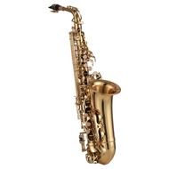 sakurabc Eb Alto Saxophone  Brass Lacquered Gold E Flat Sax 875 Key Type with Accessories for All Ty