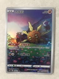 寵物小精靈卡 太陽岩 189/172 AR