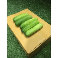 Fresh Cucumbers-Vegetables And Fruits