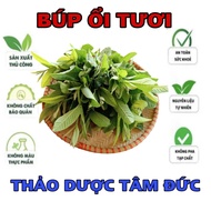 1kg of guava buds, organic fresh guava buds