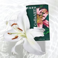 【初藝】膠原胜肽粉包 30包/盒