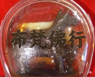 阿贊屈啦 馬食能