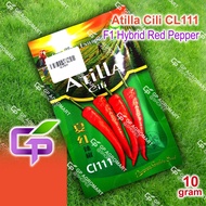 10g Star Plant Atilla Cili CL111 / F1 Hybrid Hot Pepper Seed / Biji Benih Cili Kulai CL111