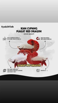 Pelet Cupang Red Dragon Kualitas Terbaik