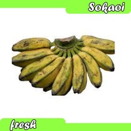 PISANG KEPOK 1 SISIR