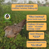 DOVE NET DOVE NET DOVE NET NET FOR DOVE NET FOR DOVE NET FOR DOVE NET FOR LARGE BIRD NET FOR LARGE B