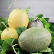 FUZOU Artificial Cantaloupe Melon, Foam Plastic Fake Cantaloupe Melon, Toy Food Model Lifelike Decor