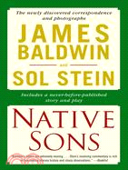 74112.Native Sons: A Friendship That Created One Of The Great Works Of The Twentieth Century: Notes Of A Native Son