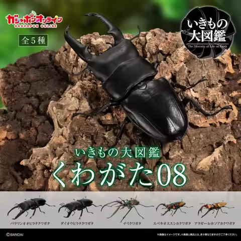 In Stock Bandai Original Gashapon Toys Biology Encyclopedia Stag Beetle 08 Ornament Capsule Toys Car