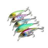 GAN CRAFT AYRTON 63SR CRANKING SHAD