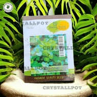 Benih Bibit Ketumbar Coriander Cilantro Haira Seed - KETUMBAR CORIANDER CILANTRO