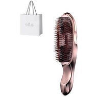 ReFa ION CARE BRUSH PREMIUM