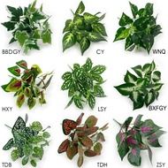 Artificial Group Leaves 5-7CB