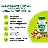 ASHWAGANDHA KSM 66 Nettle seed 30kapsul