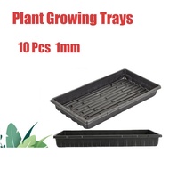 RKNOW 10Pcs No Holes Plant Growing Trays Reusable Plastic Nursery Potted ling Trays Sprout Hydroponic Systems 550x285x60mm Propagation Tray lings