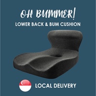 [HH] Oh Bummer! Lower Back & Bum Cushion  - Orthopedic Tailbone Pain Relief Cushion Coccyx Cushion S